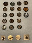 Lot Audubon Society Liberty Bell Bird Club Pinback Button 22 Antique Celluloid
