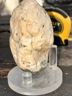Alien Extraterrestrial Artifact