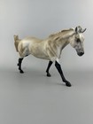 Peter Stone 2026 Ooak Remington  winter Chill   Satin  Clipped Dapple Gray