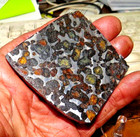 184 Gm Sericho Pallasite Meteorite Slab From Kenya Stand Olivine Uneven  4 