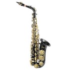Golden Professional Alto Eb Saxophone Sax W  Case Mouthpiece Accessories