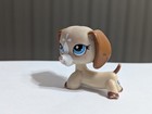 Lps  1491 Rare Hasbro Dachshund Dog Cream Blue Eyes - Littlest Pet Shop