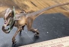Wild Safari Dinosaur Model Attacking Velociraptor Mint With Hang Tag
