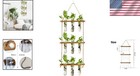 Retro Wall Hanging Plant Propagation Station