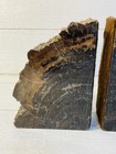 Set Of 2 Agatized Petrified Wood Bookends 1 Side Polished Felt Cushion