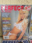 Perfect 10 Magazine Lot Of 12 Issues All Natural Men   s Magazine 1999-05 Sealed