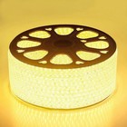 110v Led Strip Light 5050 Smd Waterproof Ip67 Home Outdoor Lighting Rope us Plug
