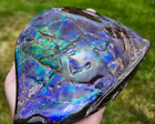 Ammolite Piece Blue Zone Deep Blue green multicolor - Top Gemstone Fossil