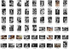 Lot 100x  4x6 Nude Icture  Pinup-girl Woman Model Femal Risqu   Lot  208 