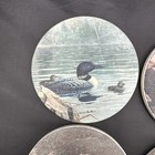 Coasterstone Loon Coasters