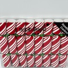 Robin Reed Red White Candy Cane Striped Mini Christmas Crackers Nib Table Decor