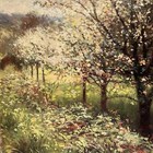 Leaning Tree Sympathy Card Syt5567 Apple Orchard Condolence Comfort Strength