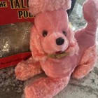 1960s Vintage French The Talking Poodle Radio Works With Box