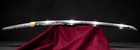 Great Dragon Horimono Long And Bold Katana By Ikkansai Shigehisa Gendaito Sword
