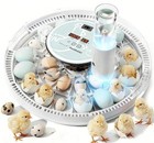 Incubadora De Huevos Automatica Para Huevos De Pato Gallina Codorniz 28 Huevos