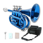 Pocket Trumpet Brass Bb Blue Lacquer Trumpet With 7c Mouthpiece  Hard Case strap