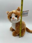 New Princess Soft Toys Pumpkin Orange White Tabby Cat Kitty Plush Green Eyes 10 