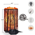 Himalayan Salt Lamp  Salt Rock Lamp Natural Night Light In Forest Design Meta   