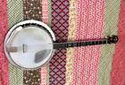 Four String Tenor Banjo And Case  Play Jazz Band Music Folk Group Party-time Fun