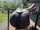 Voltaire Palm Beach Saddle 16 5 Inch Full Buffalo Pro Panels 1a Flap