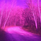 Void-see   Type-r Spectral Paranormal Research Rare Discontinued Dye Aura Filter