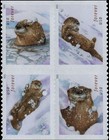 Otters In Snow Stamps     5 Booklets  100  Scott  5648-51 Mnh