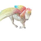 Creatology Flying Pegasus Mystical Horse With Rainbow Wings  Mane   Tail