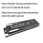 Easttop Lucky 13 Bass Plus Blues Harmonica 13 Holes Diatonic Harp Harmonica New