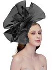 Sinamay Fascinator Hat Floral Feather Pillbox Derby Hats For One Size 01-black