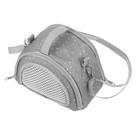Hamster Outing Bag Guinea Pig Carrier Small Animal Carriers Travel