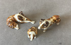 3 Pc Vintage Bone China Collie Family  Miniature Dog 