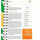 The Bible In A Year A 52-week Study For Women  Spiral Bible In A Year 52 Week St