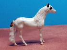 Peter Stone Model Horse Chip Feline Good Le Of 5 Andalusian Mold Matte Finish Nr