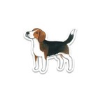 Sri Lankan Sticker - 100 Type