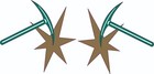 Gold Miners Inspired Full Size Football Helmet Decals
