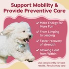 New Glucosamine Joint Supplement For Dogs 180 Chews Fast Shipping