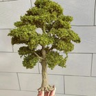 15cm Autumn Trees Ho oo Scale Miniatures Garden Landscape Scenery Model Display