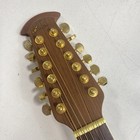 Ovation Hybrid Guitar - Celebrity-w access 