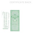 New Goes 390 No Par Value Stock Certificate Size 8-1 2  Tall X 15  Wide