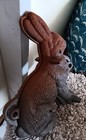 Rabbit Cake Mold Two Piece Cast Iron Kitchen Gift