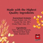C s Wild Bird Peanut Suet Nuggets Mega Box  8 Pounds 8 Pound  pack Of 1  