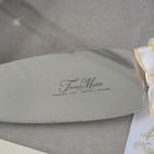 Treasure Masters Sheffield England Stainless Wedding Cake Knife   Server Set