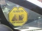 Ferrets On Board Octagonal Sign