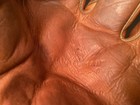 1950s Vtg Stan Musial Rawlings Baseball Glove 3 Finger Pml St Louis Cardinals
