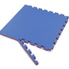 Xspec 1  Extra Thick Reversible Eva Foam Gym Mats 12 Pcs 48 Sq Ft  Blue   Red