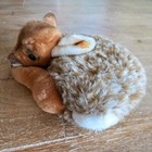 Vintage German Steiff Lorli Fawn  Laying Down  Spotted Deer With Ear Tag 1831 20