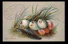 New Britain Ct Trade Card  Wm Hal Smith   bakery   Bread  Pies  Cakes Etc Ttc279