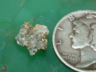 Gold Carbonate Matrix Specimen  5  Gram Nevada Gold