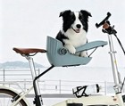 Front Basket For Dog Bikes dog Bike Seat includes A Safety Leash  Up To 22lbs