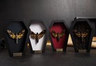 Real Death Head Moth Coffin Frame Taxidermy Bugs Spooky Gothic Christmas Gift